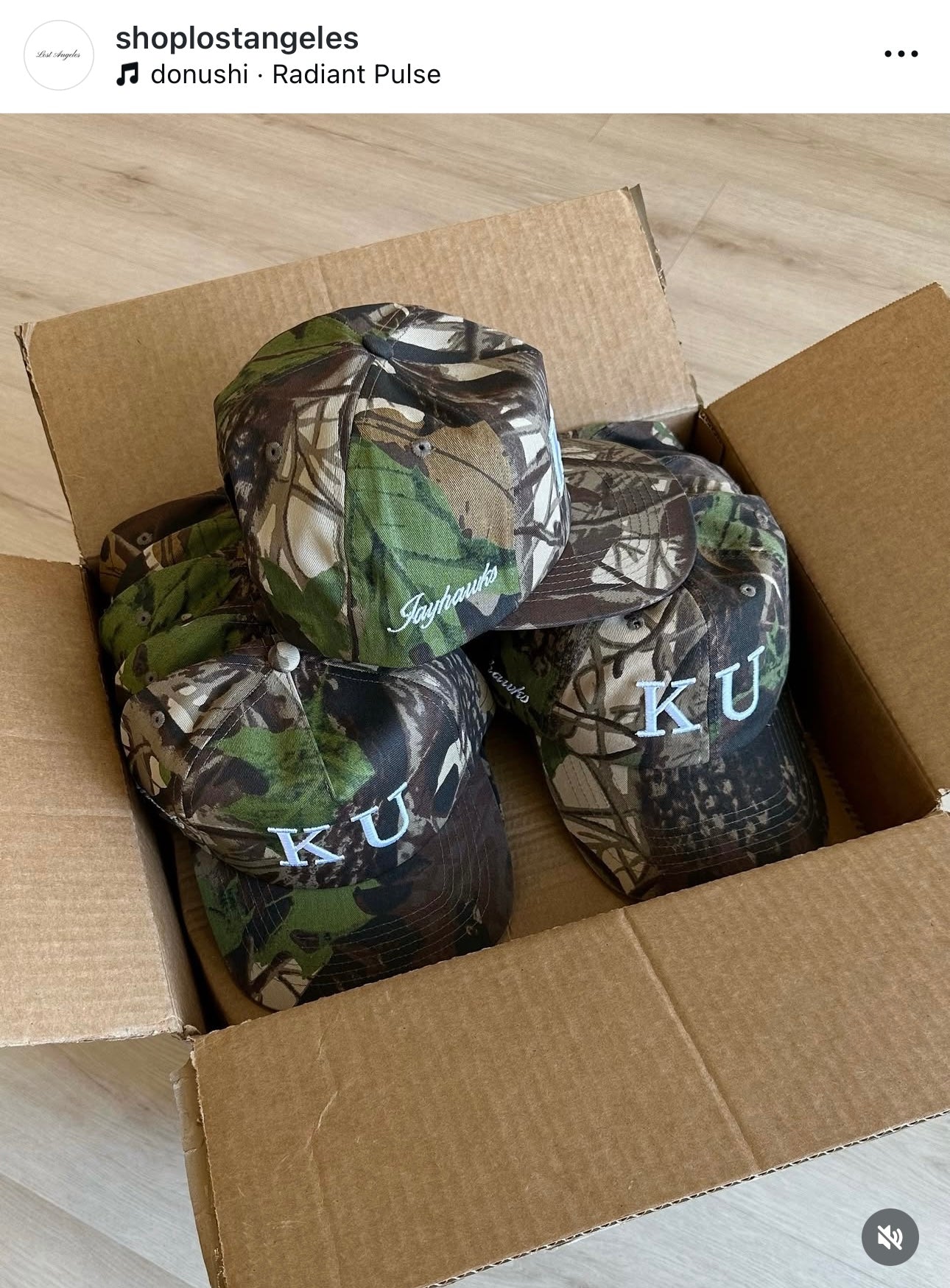 Kansas Hat (Camo)